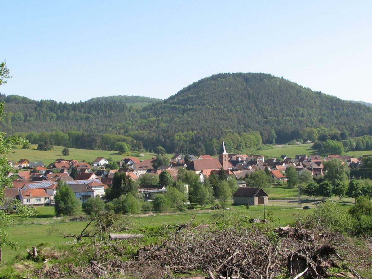 Ferienhaus Zum Haertschd Apartment Fischbach Екстериор снимка